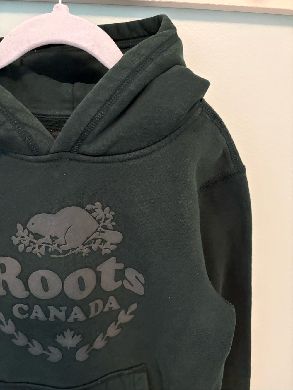 Roots Canada Forest Green Hoodie - Picture 2 of 5